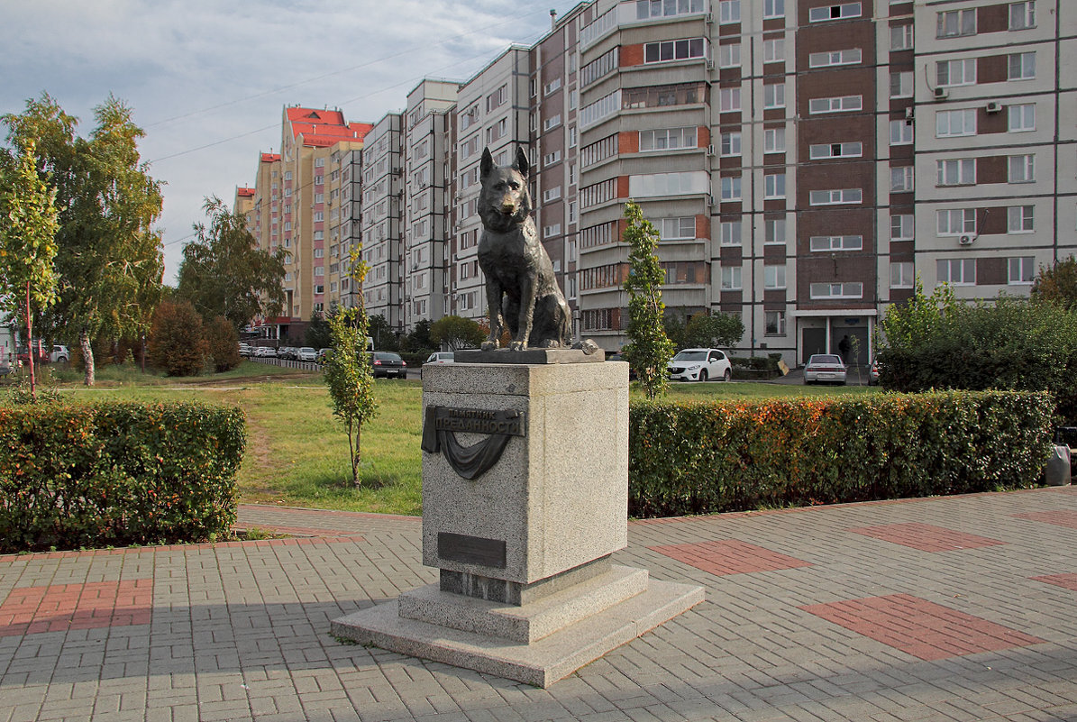 Памятник преданности