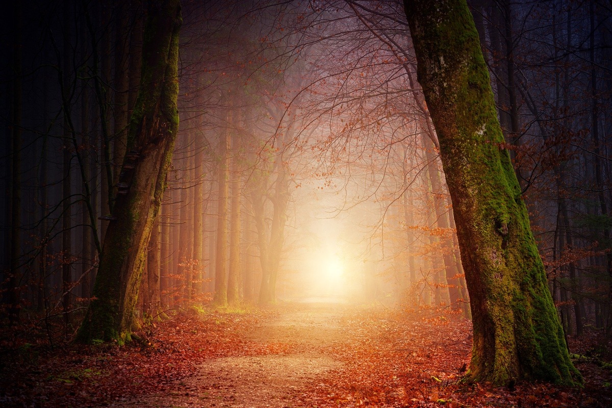 https://pixabay.com