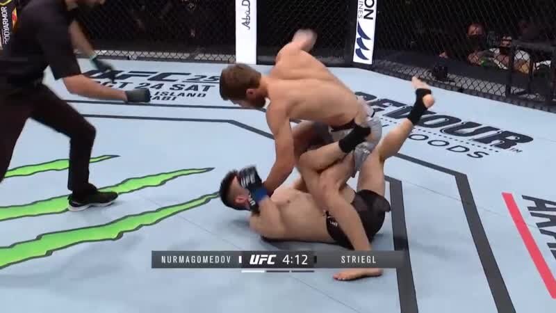 Нурмагомедов Саид уже вверху и наносит разящие удары.  фото: картинки -яндекса.