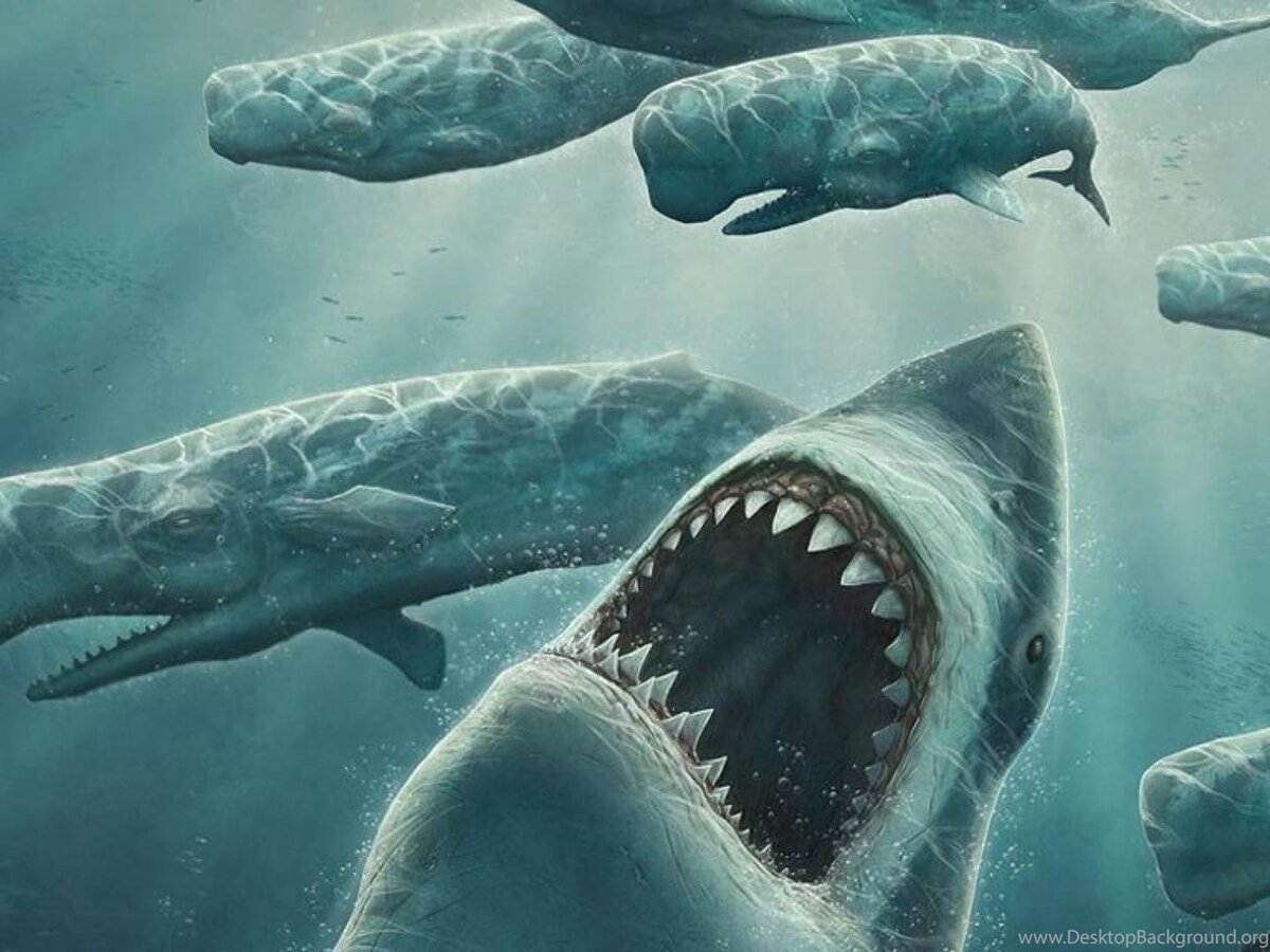 Подпишись и поставь лайк!