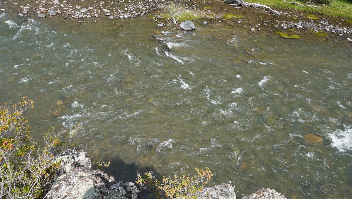 Алтайский тест на зелено-желтый цвет монитора