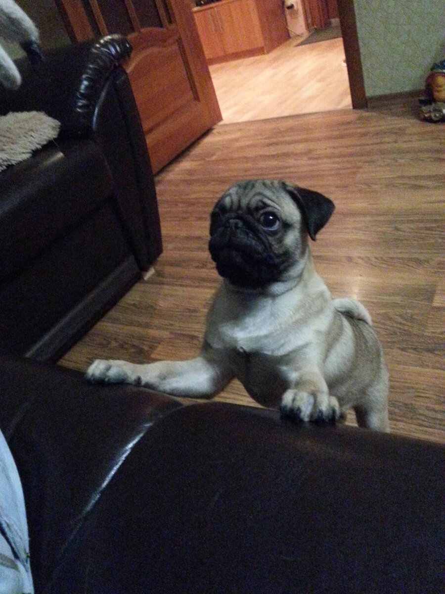 Личное фото