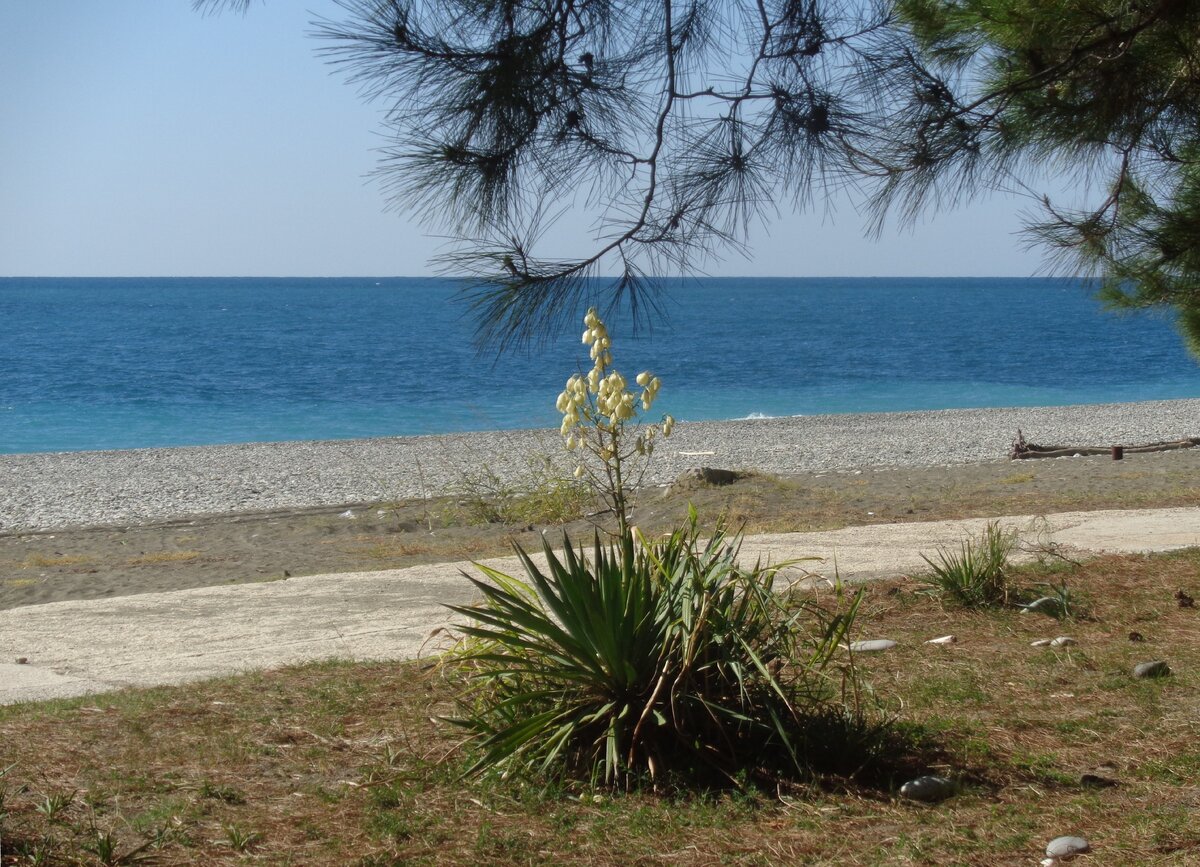 А.С.Пушкин: "На свете счастья нет, но есть покой и воля".