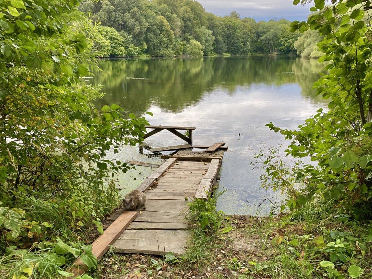 У верхнего пруда очень живописно, даже несмотря на то, что за моей спиной помойка. Кстати, котика нашли на фото? :) Листайте дальше, следующий пруд выглядит хуже :(