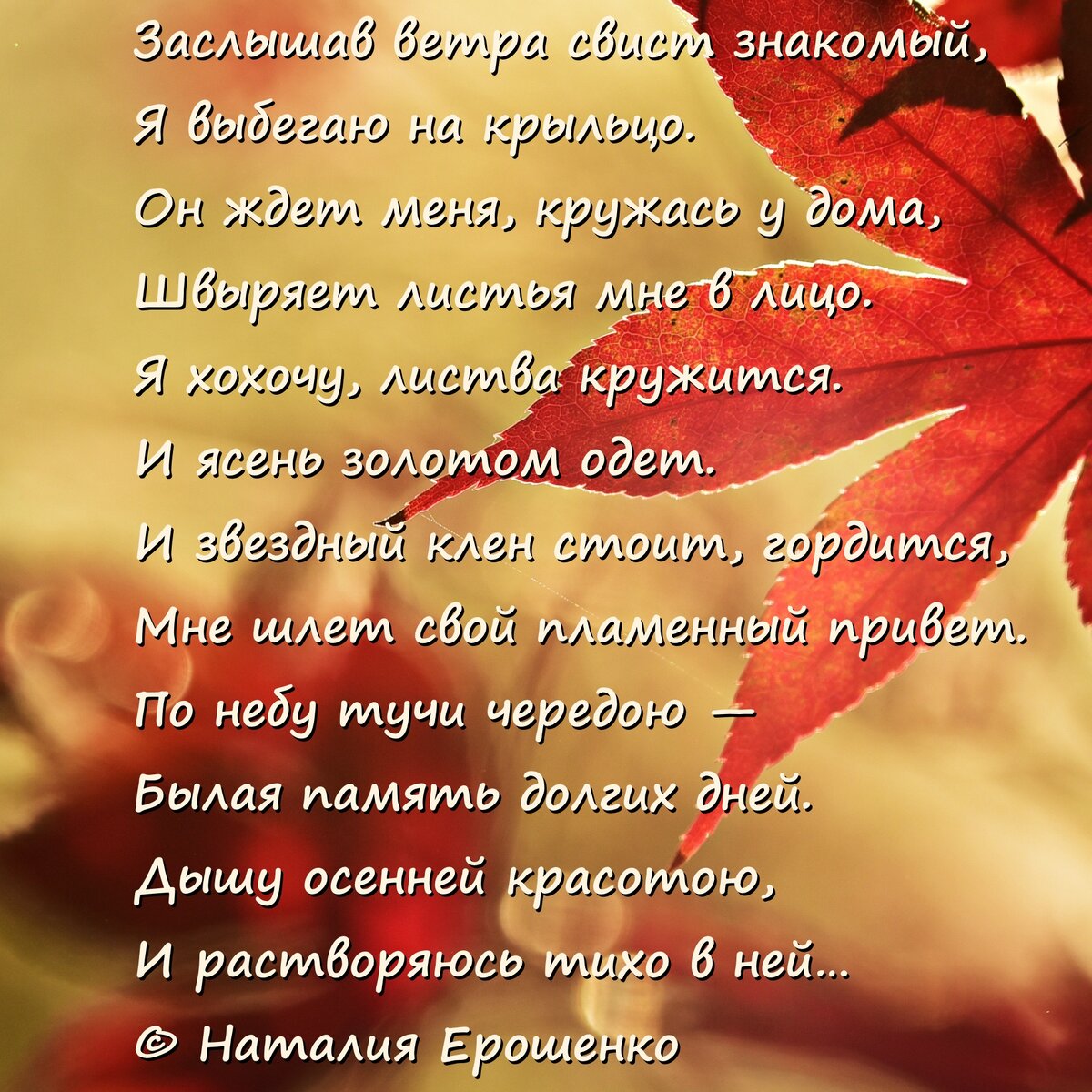 Фон – pixabay.com