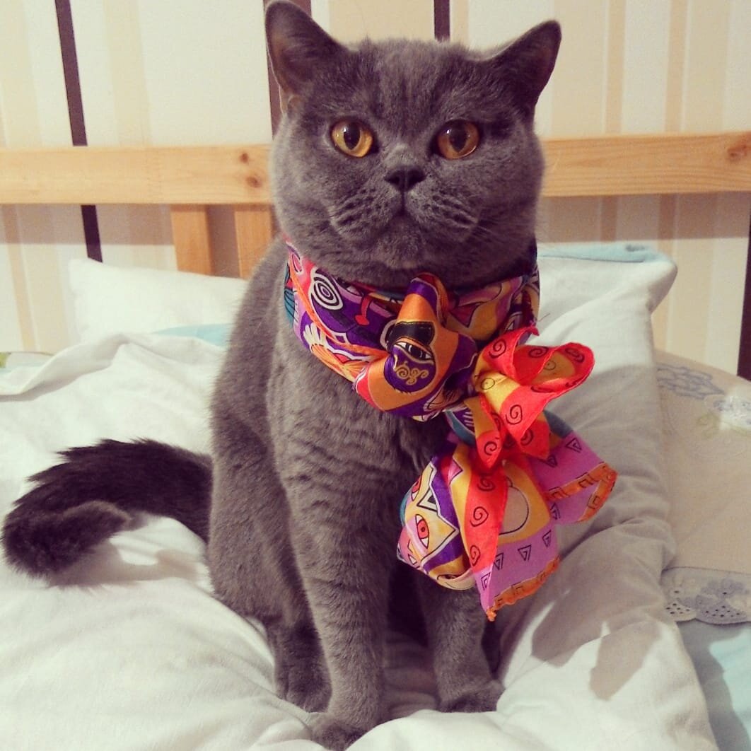 Когда ты элегантная женщина. Фото автора