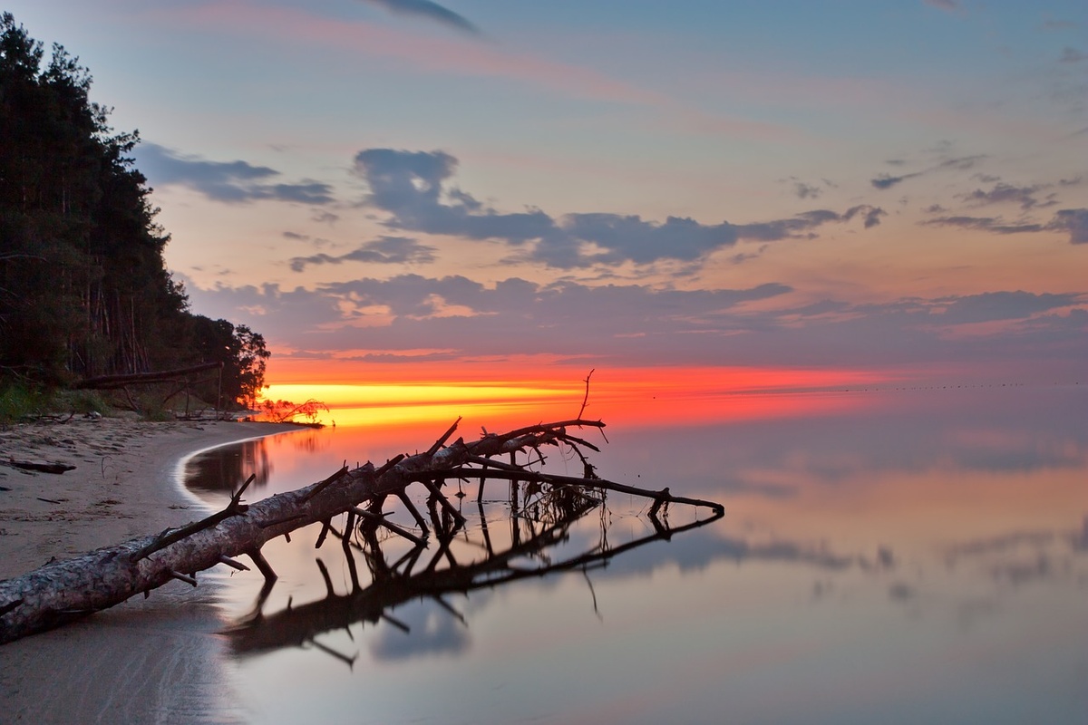 Куршская коса