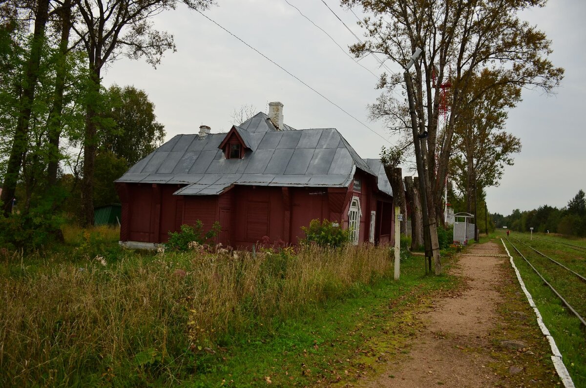 Погода в селище селижаровский тверская