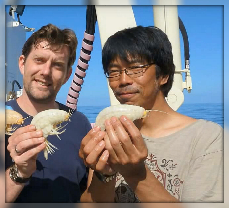 Исследователи держат в руках гигантских бокоплавов. Источник: Яндекс картинки.