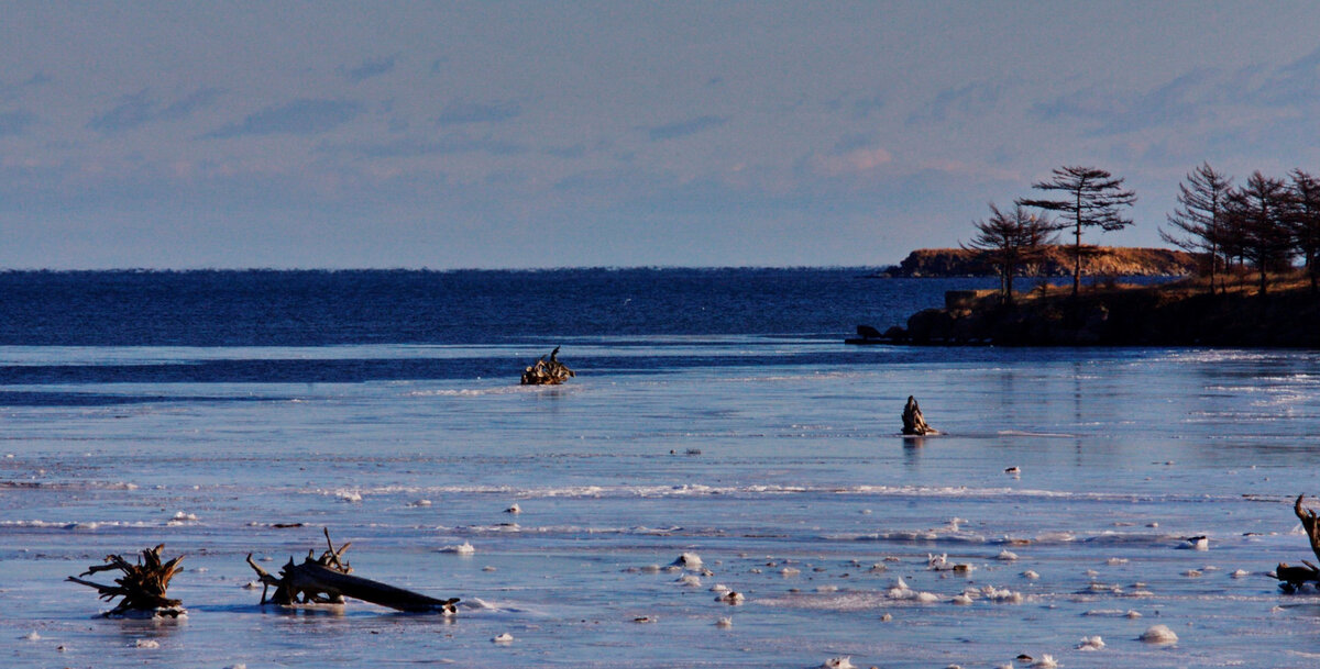 Берег Татарского пролива.