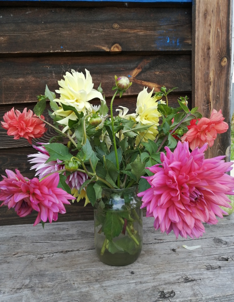 фото из личного архива