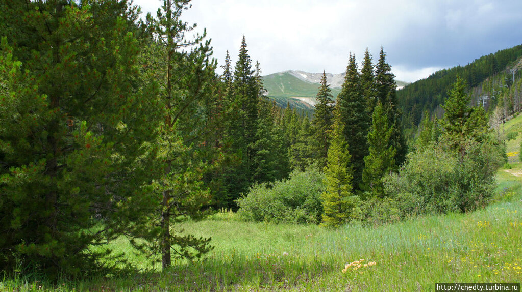 Степь, лесостепь, алтая. Ходят по равнине. Скалистая местность. Ходят по равнине. Поле целина.