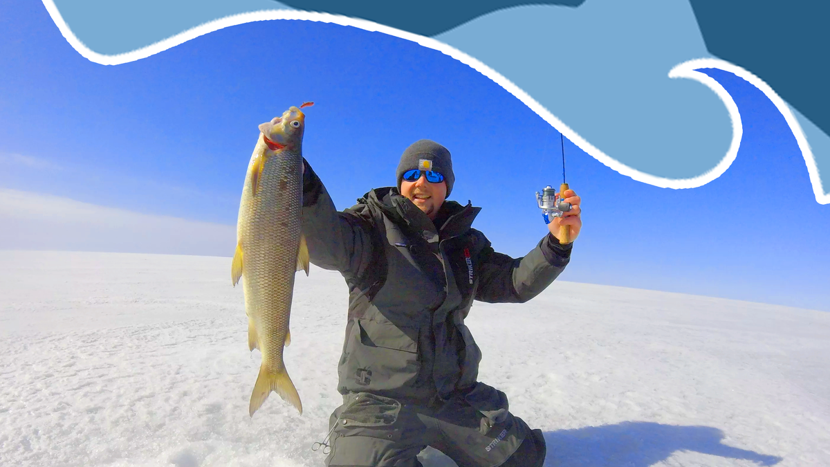 Фотография: castncatchcharters