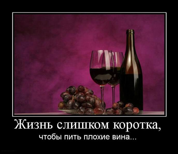 Пить и жить полной