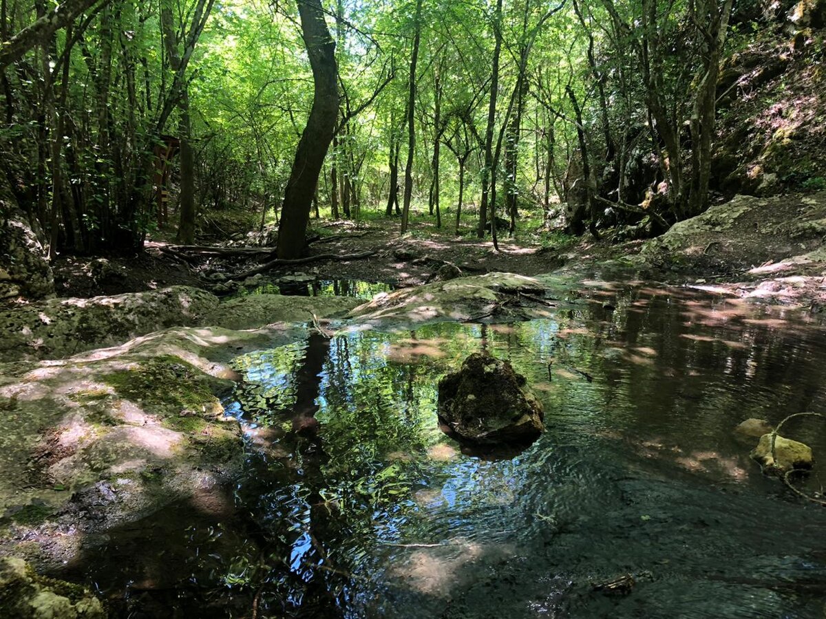 Байдарская долина... село Передовое, прогулка в июне месяце | Полуостров  Крым | Дзен