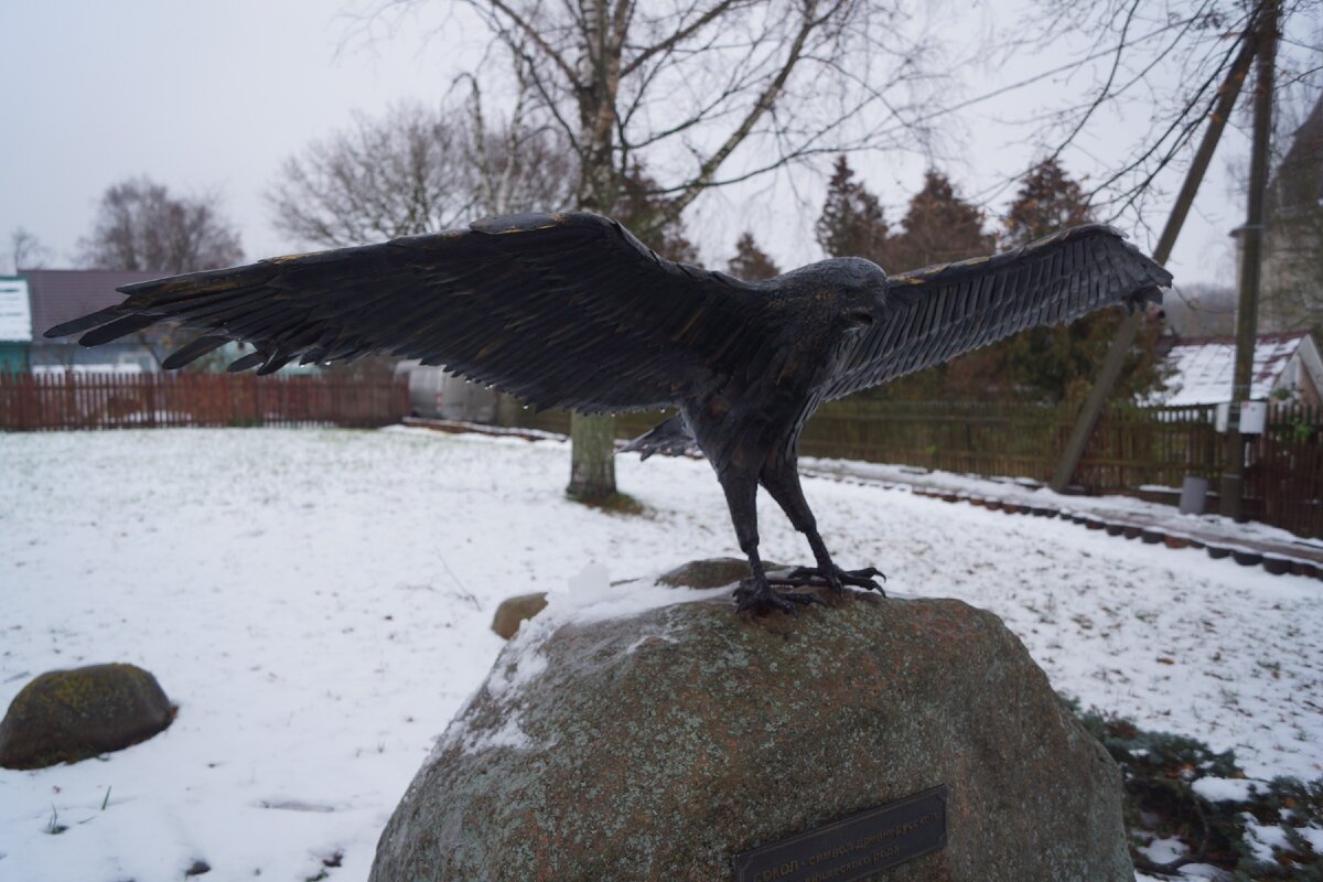 Символ Старой Ладоги - сокол