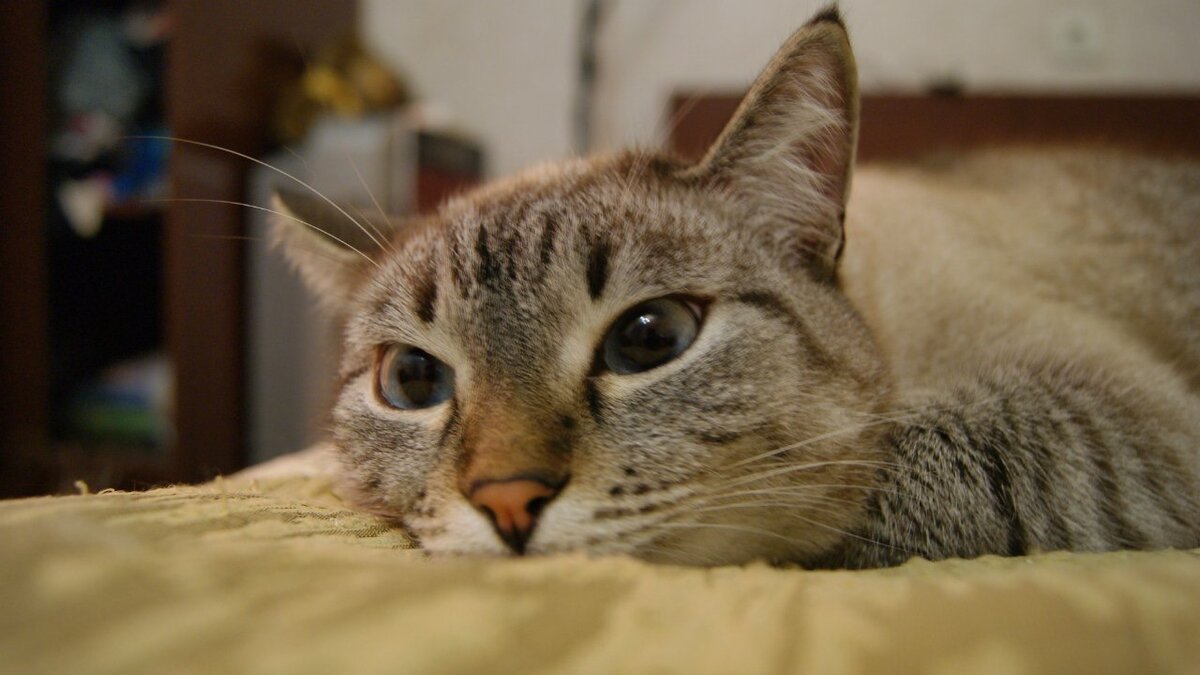 Один из счастливчиков. Семён 