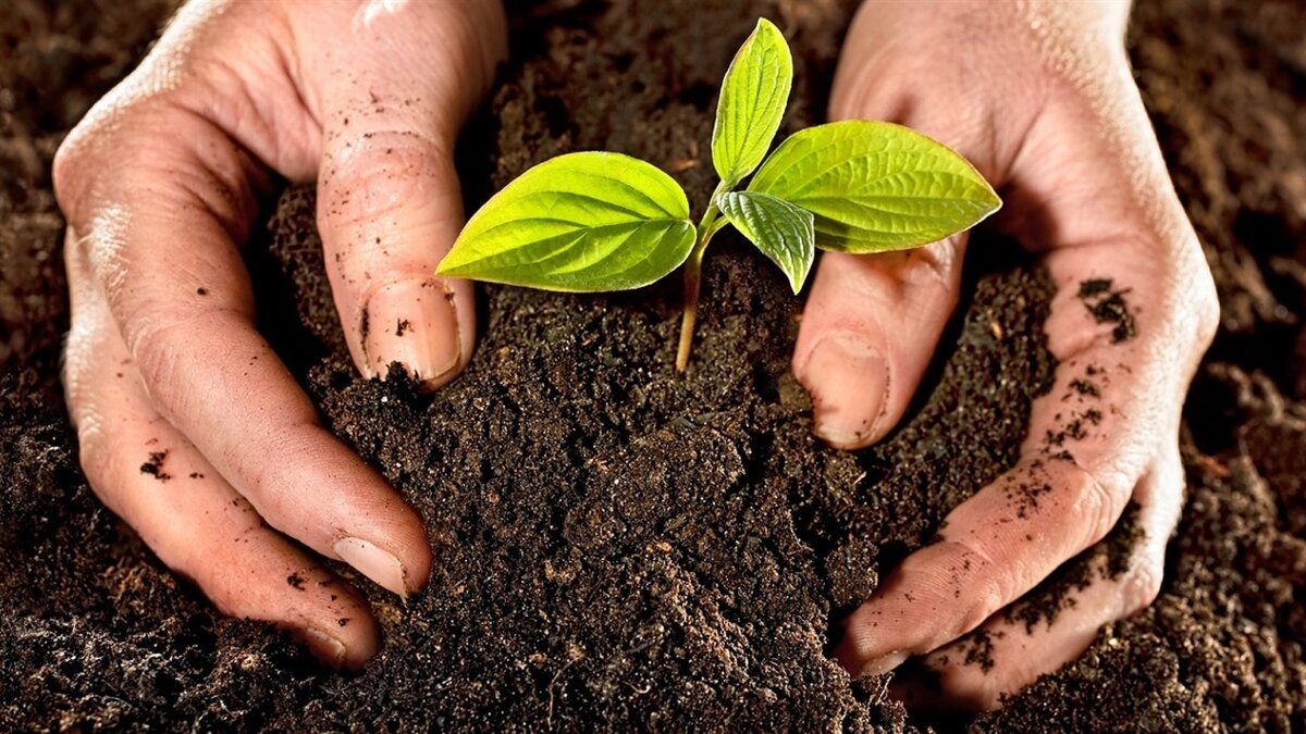 открытые источники