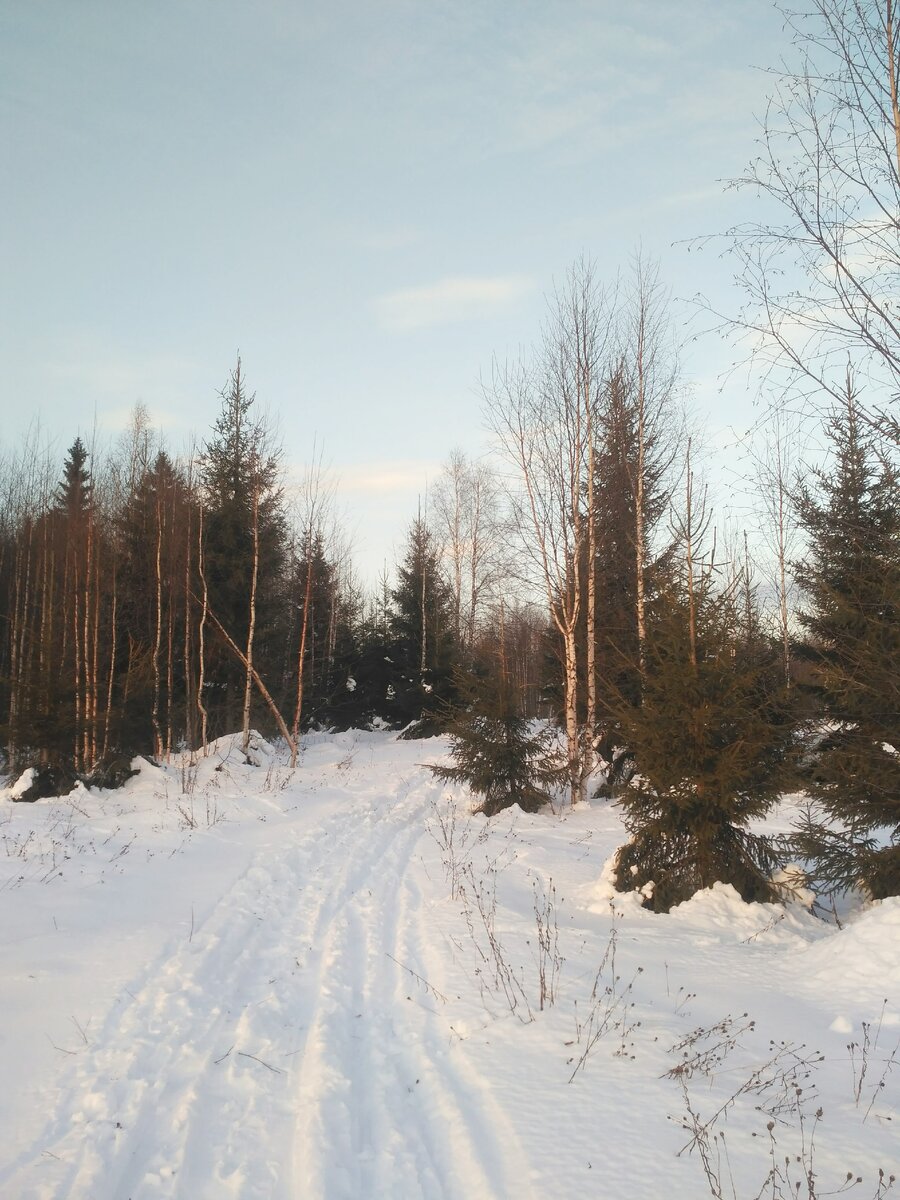 Лыжня, проложенная местными жителями