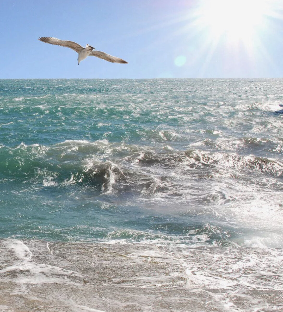 Чёрное море