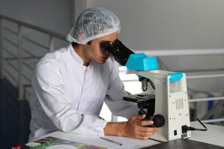 Фото: https://www.pexels.com/