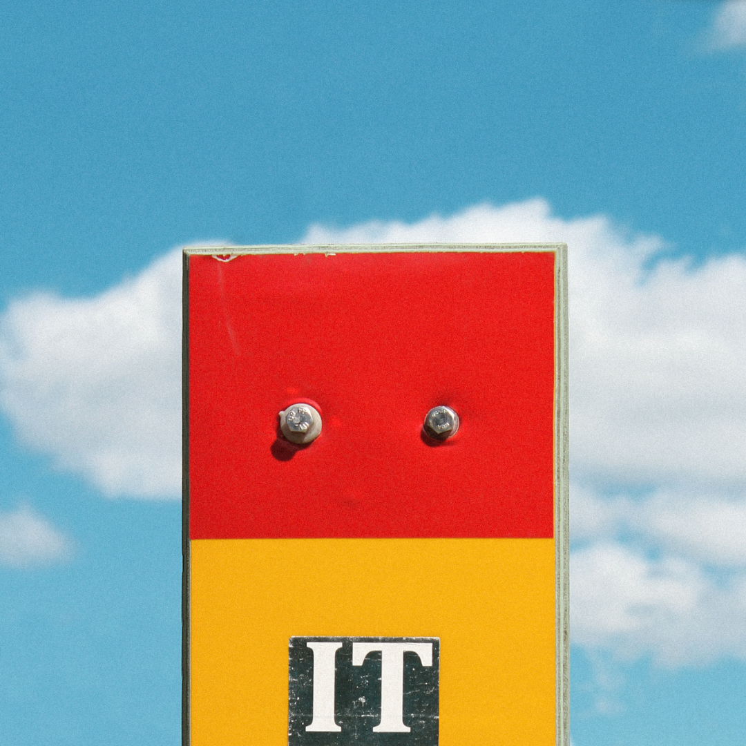 Фото из Canva 