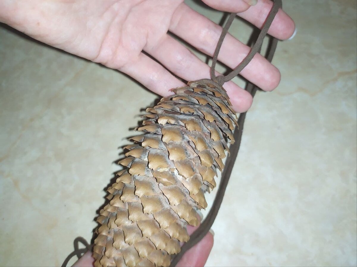 Закрепление шнурка