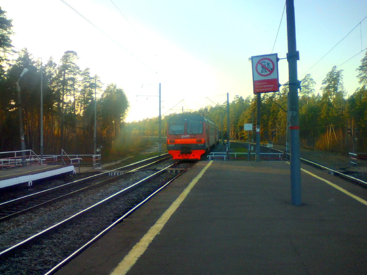 Фото автора