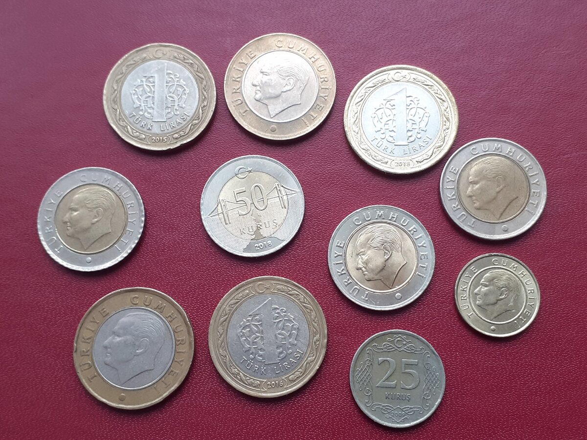 Современная турецкая "ходячка". Фото из открытого источника.