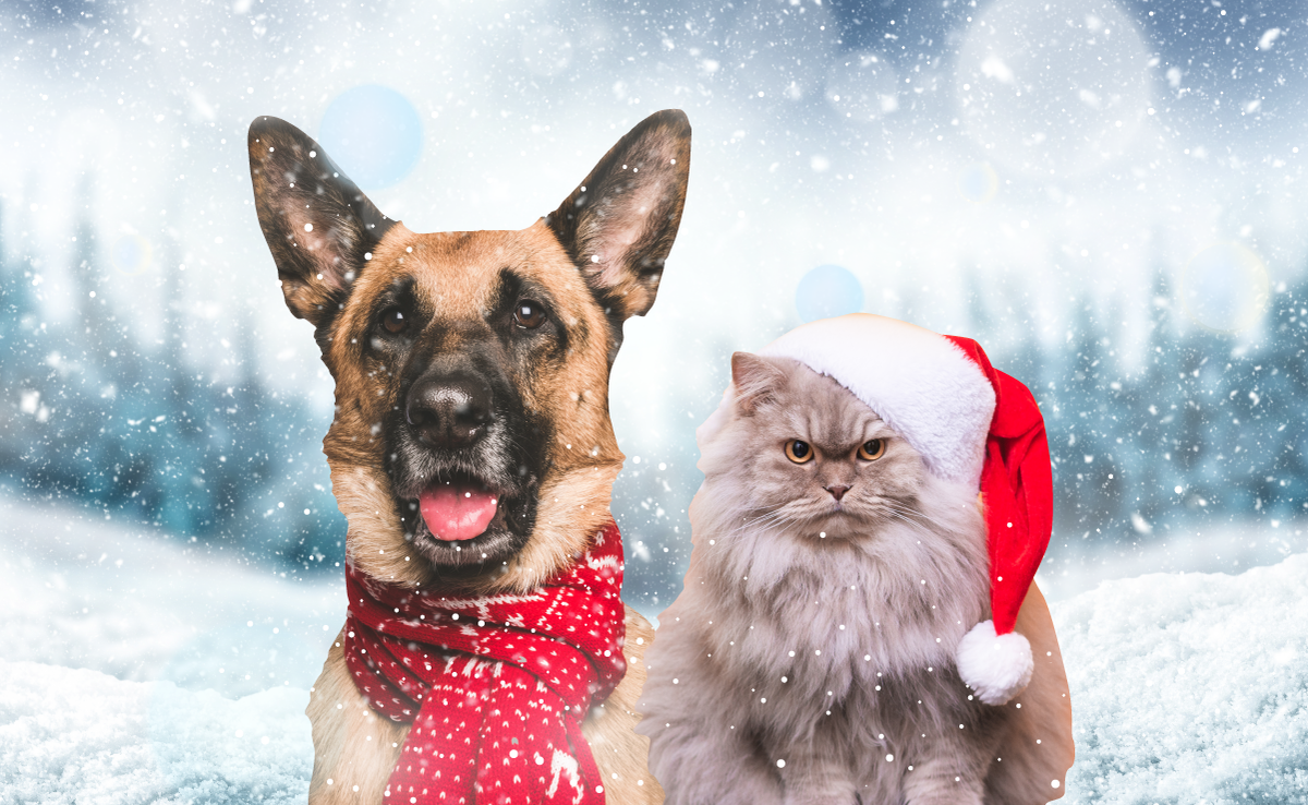 Установка дополнительного теплоизоляционного материала