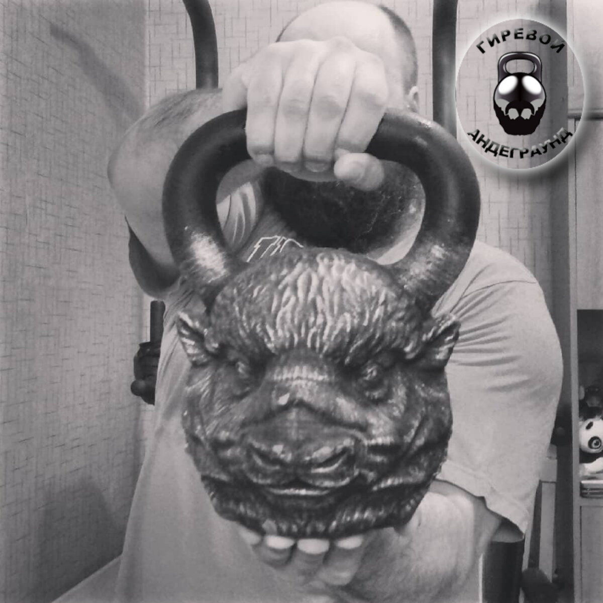 Гиря Бизон 24 кг