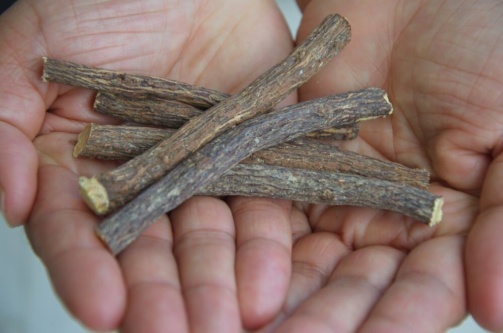 Приму корень солодки. Лакрица корень солодки. Glycyrrhiza glabra root. Солодка корень. Корень лакрицы