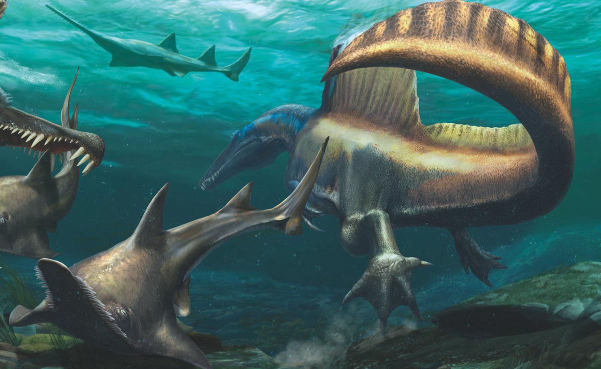 Спинозавр в воде