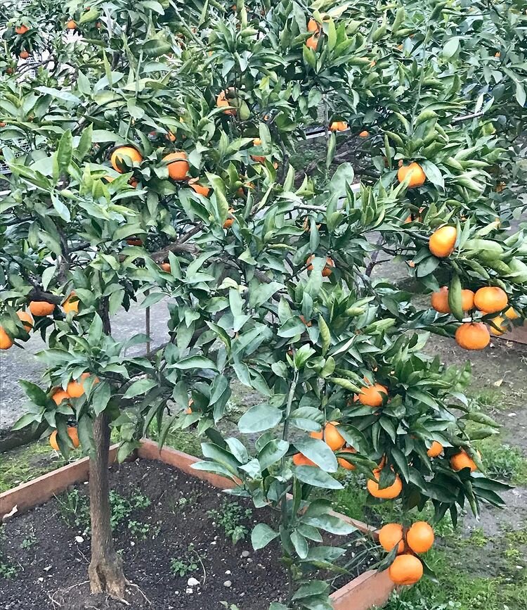 Вид из дома который снимали