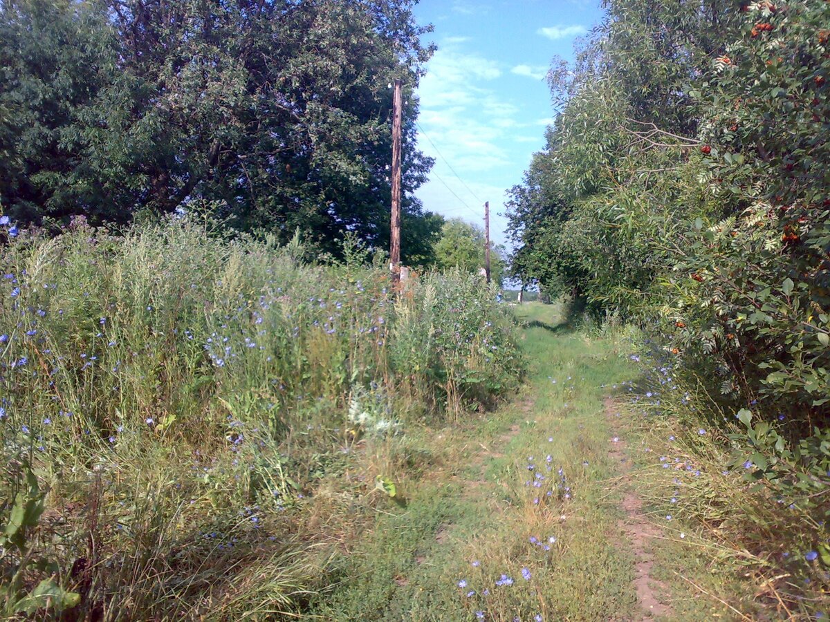 Липецкая область, Задонский район