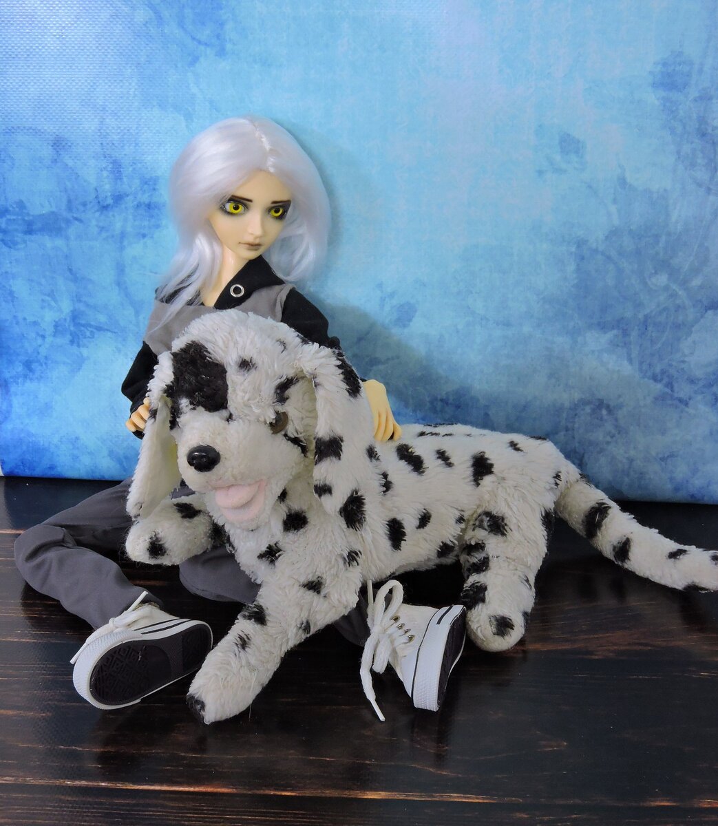 Акела и BJD кукла Resinsoul.