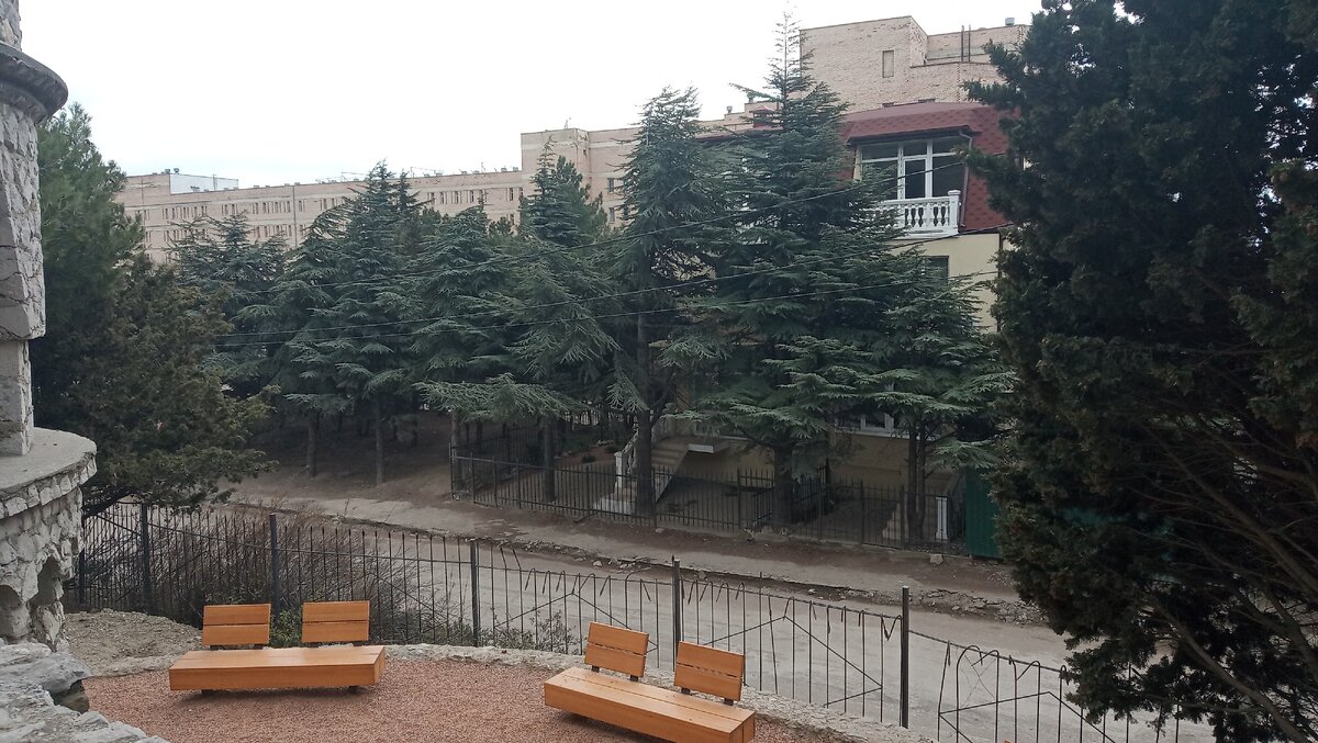 Ели и зелень - очень впечатляют