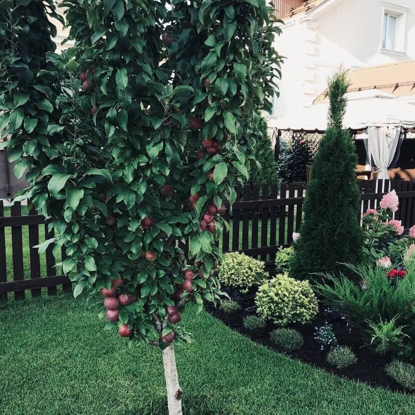 Результат прошлого года