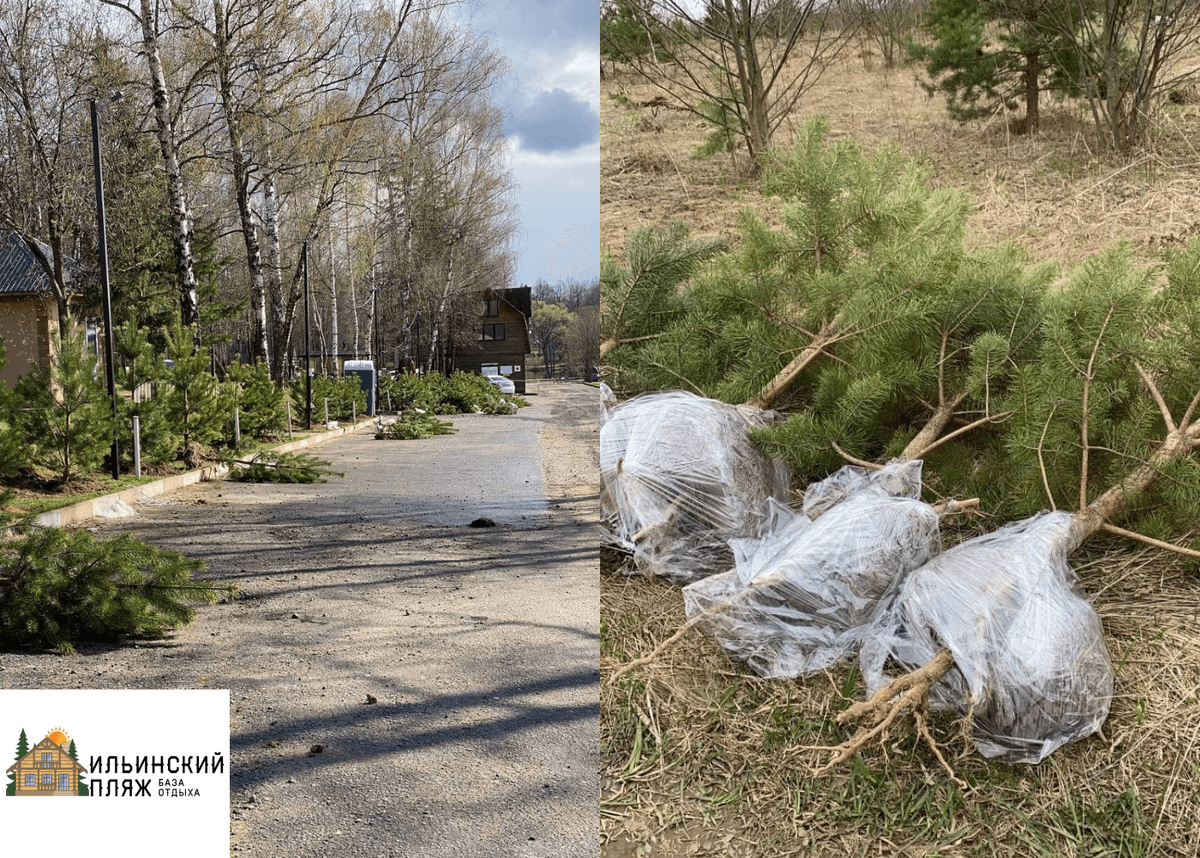 База отдыха "Ильинский пляж"  
