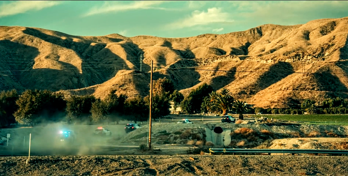 Берег москитов, КиноПоиск