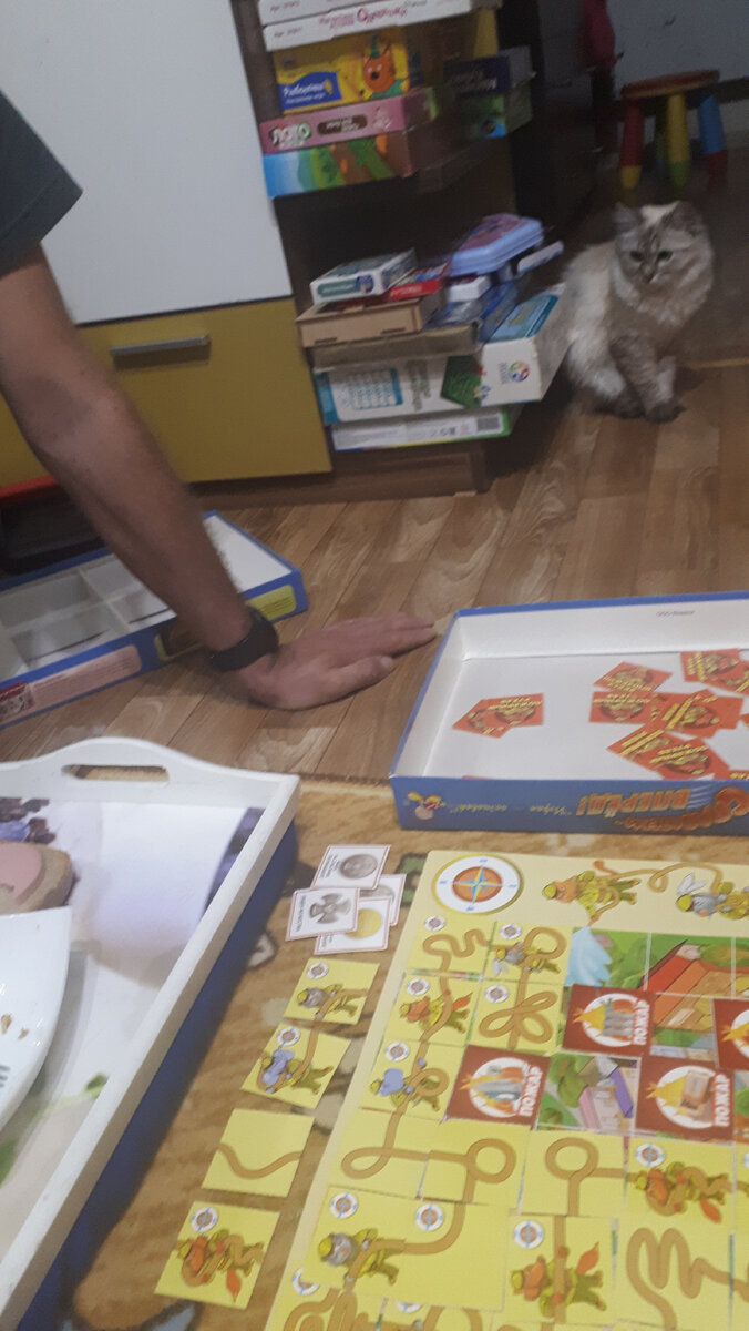 Кажется, что Пуня следит за игрой. Но на самом деле - за колбасой на бутерброде
