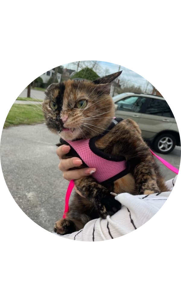 Как же я не люблю это прекрасное утро!