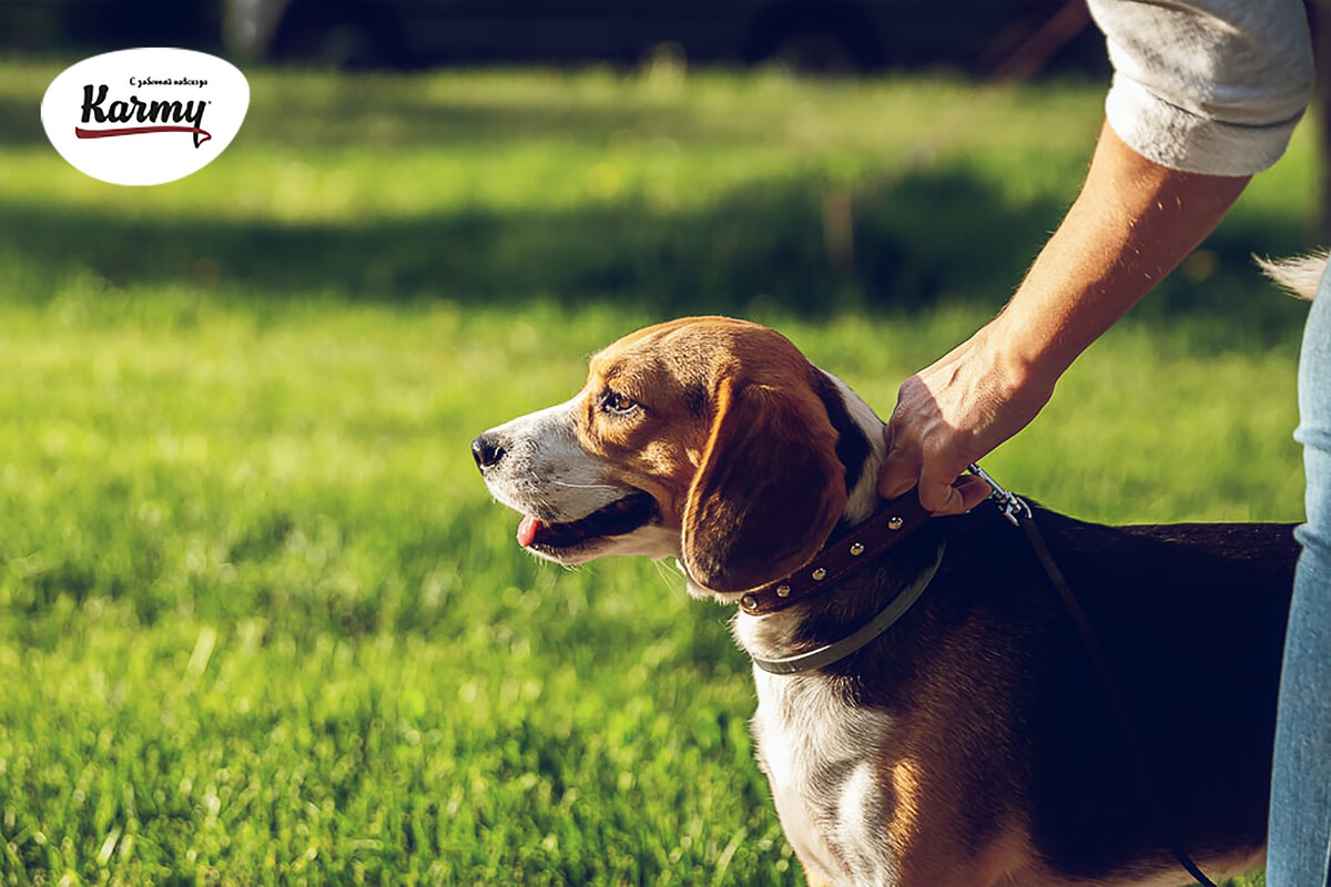 Авторское изображение с использованием картинки с фотостока "Unsplash"