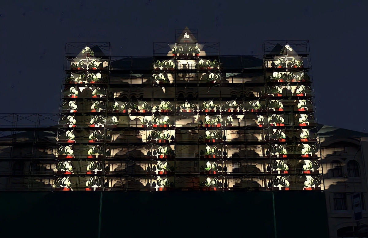 Леса инсталлированные растениями/ Политех