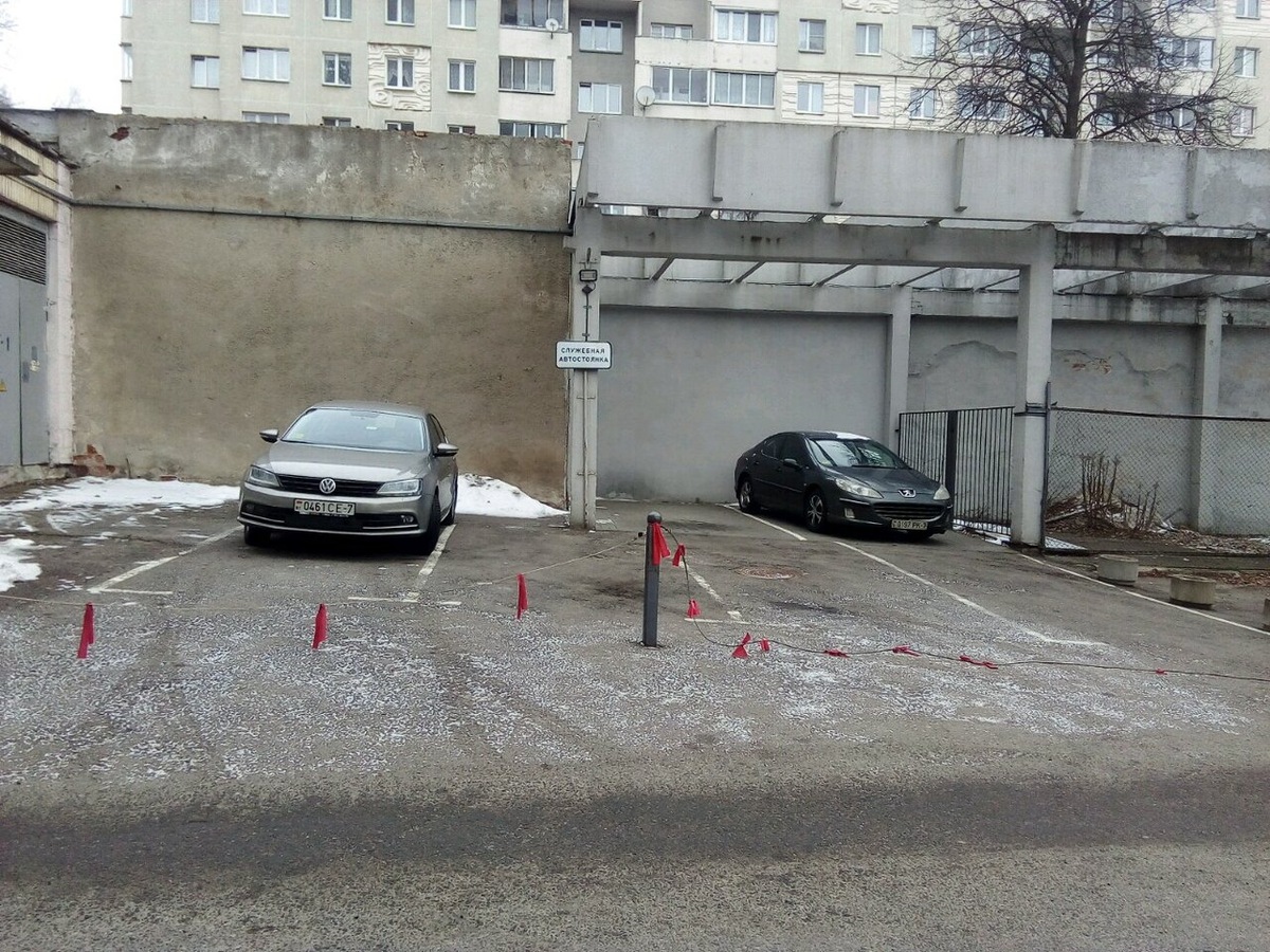 Фото Яндекс-коллекция