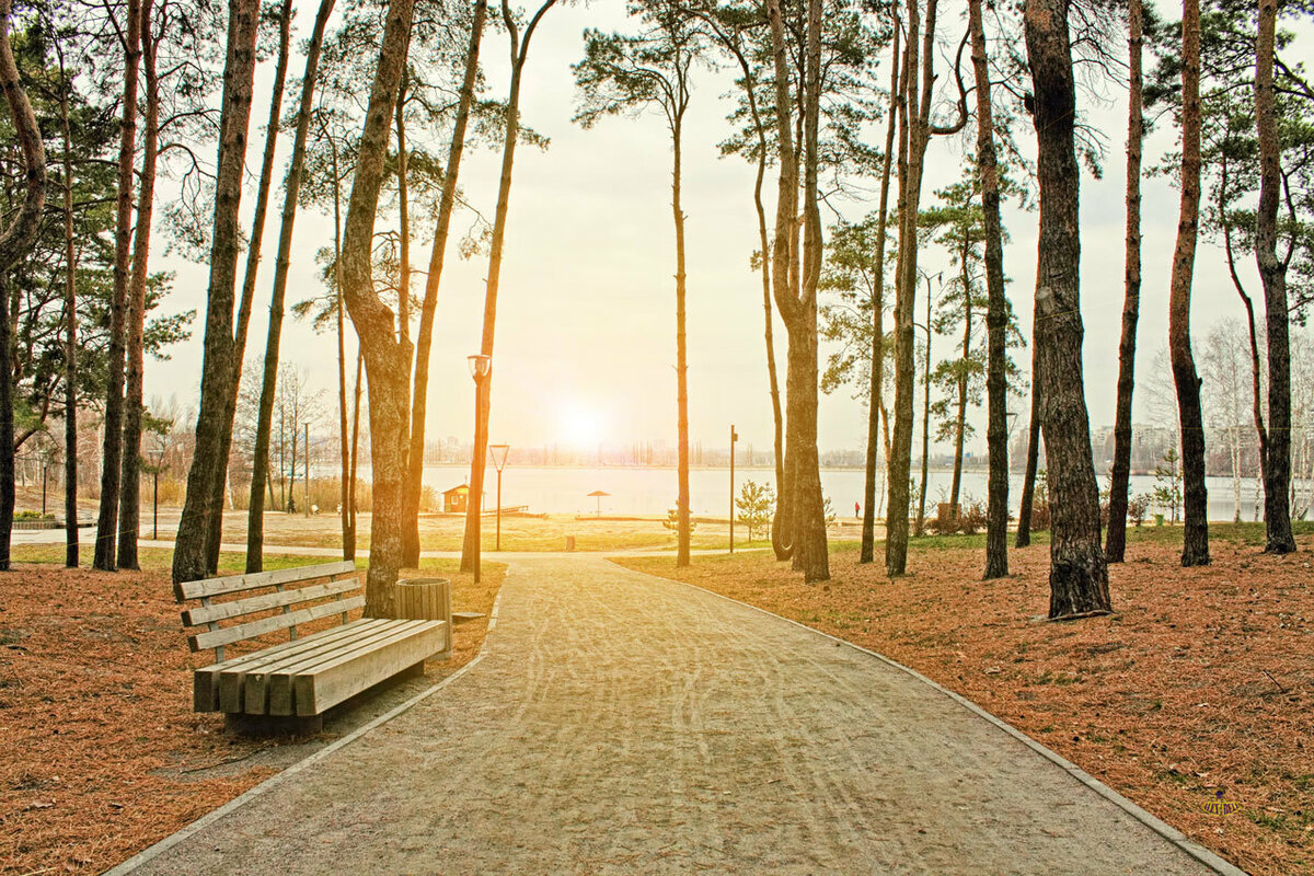 ПАРК "АЛЫЕ ПАРУСА"