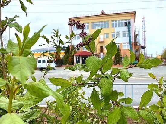 ФОТО: АДМИНИСТРАЦИЯ ГУБКИНСКОГО