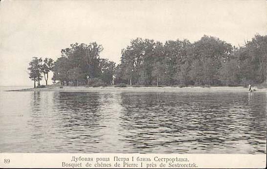 Фото из https://ru.wikipedia.org/wiki/Дубки_(Сестрорецк)