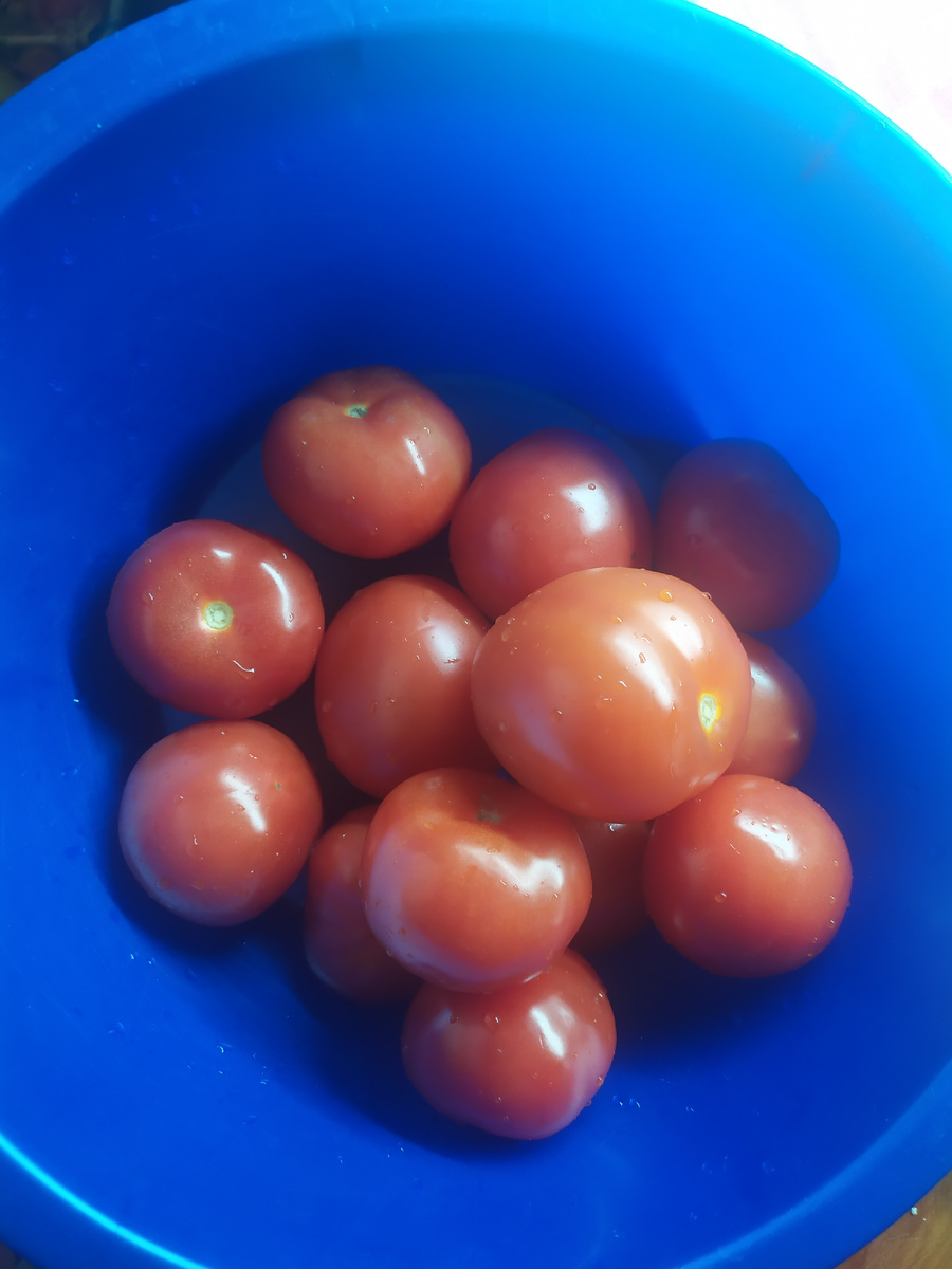 Помидоры тщательно вымыть. 