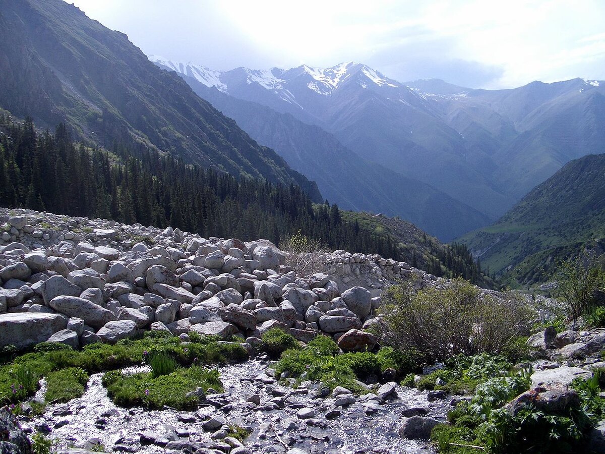 Национальный парк Ала-Арча в Киргизии. Фото: wikimedia.org